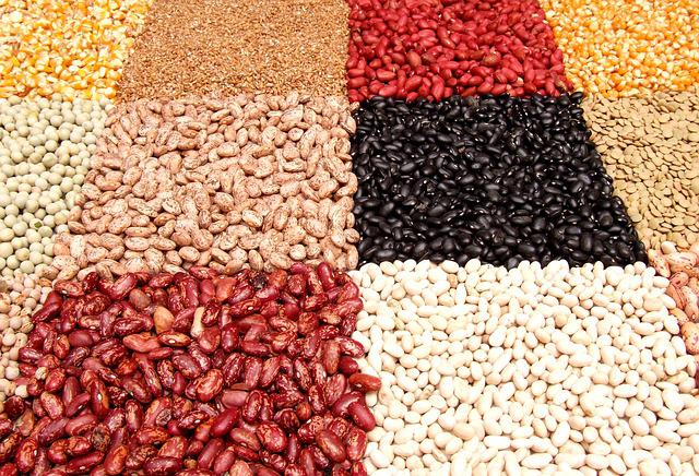 Dry Food Storage Containers