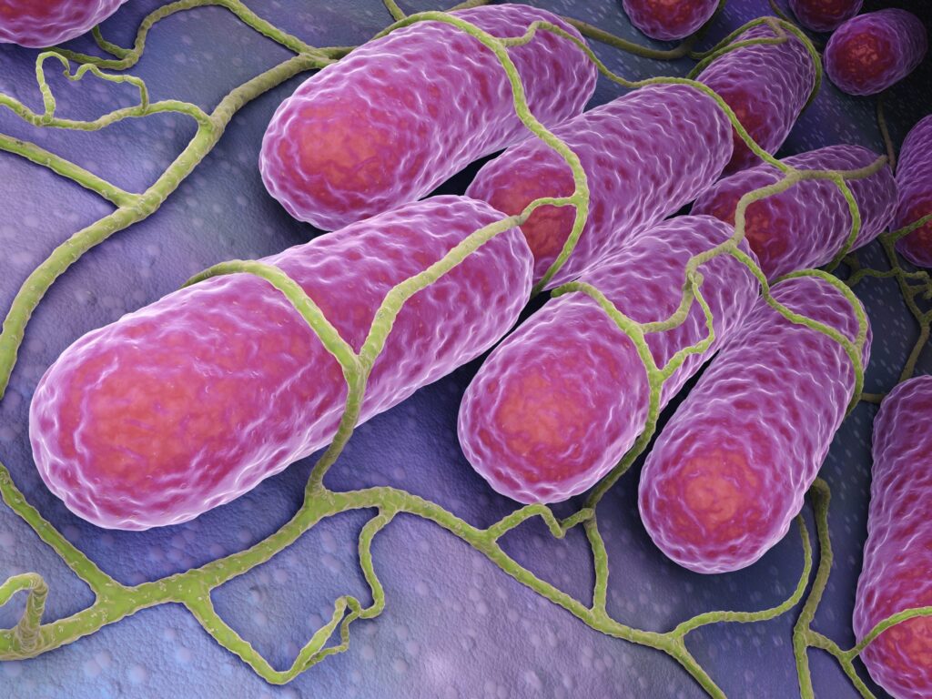 Can you get food poisoning from ice cream?